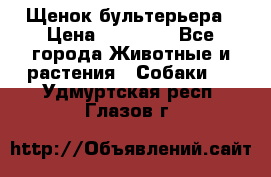 Щенок бультерьера › Цена ­ 35 000 - Все города Животные и растения » Собаки   . Удмуртская респ.,Глазов г.